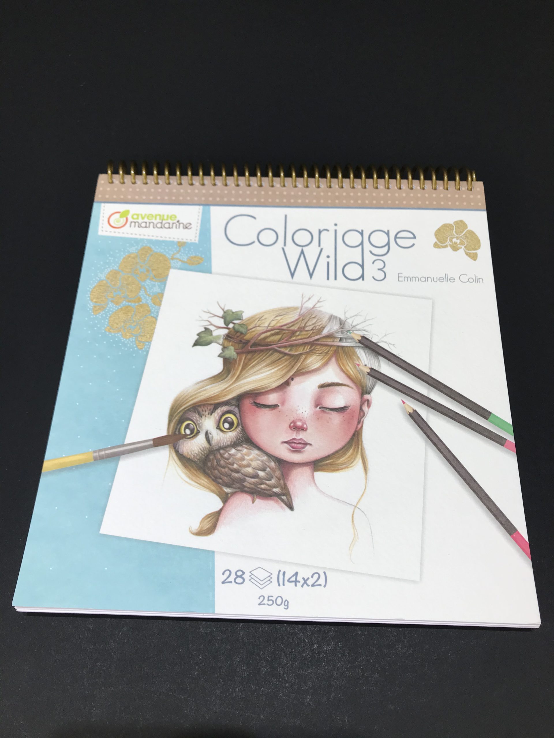 Coloriage Wild 3 – le comptoir des arts